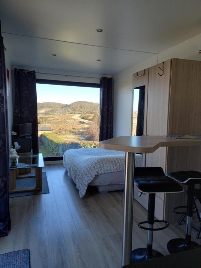 Loft "Plus Belle La Vue" Apartment Vinezac Екстериор снимка