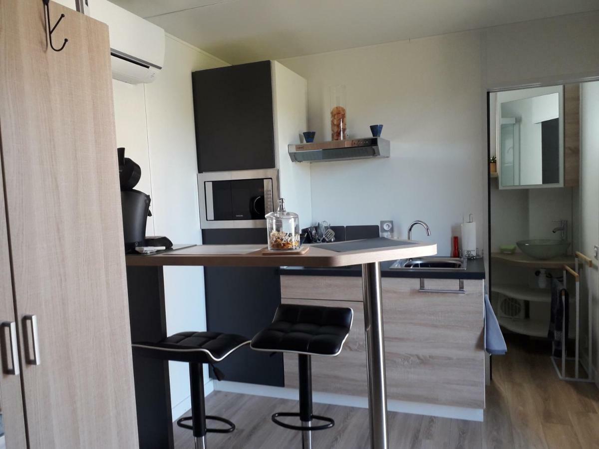 Loft "Plus Belle La Vue" Apartment Vinezac Екстериор снимка